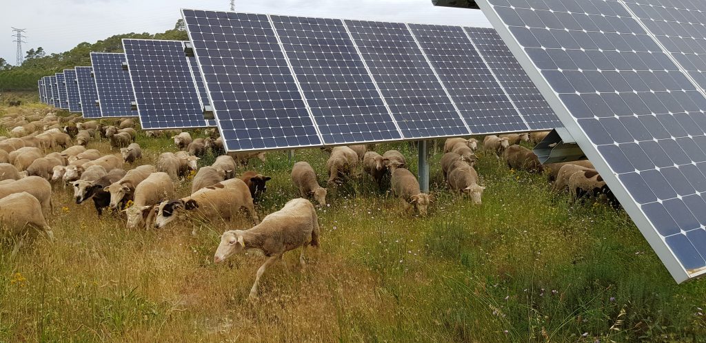 Les centrales solaires au sol